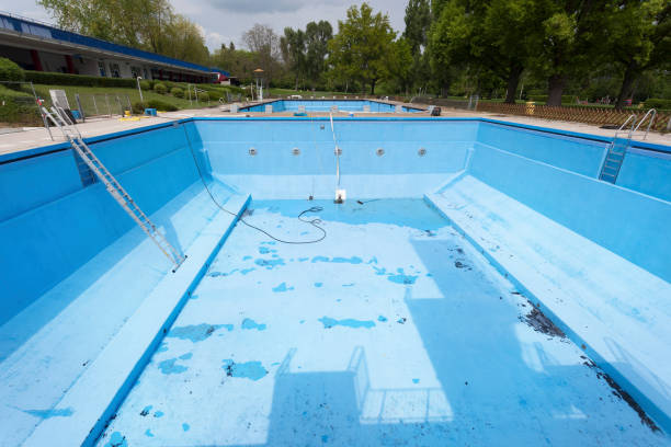 Best Mold removal after water damage  in Cresco, IA
