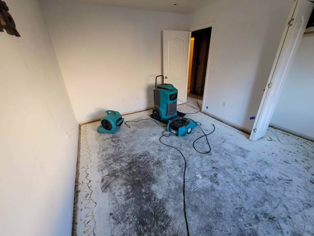 Cresco, IA Water damage restoration Pros