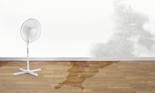 Best Flood restoration services  in Cresco, IA