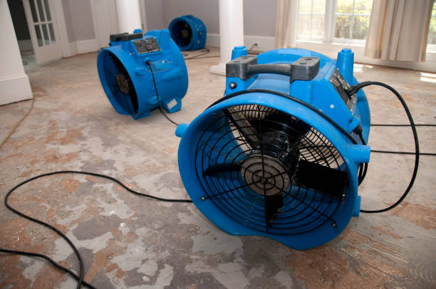 Sewage cleanup and water damage restoration in IA