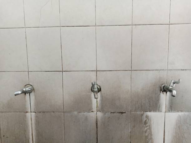 Best Basement water damage restoration  in Cresco, IA
