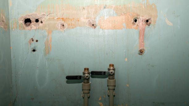 Best Professional water damage repair  in Cresco, IA