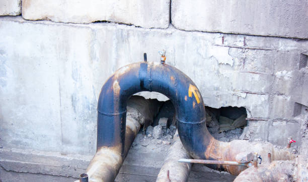 Best Water damage cleanup near me  in Cresco, IA