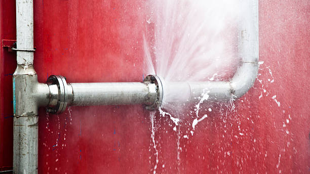 Best Flooded house restoration  in Cresco, IA